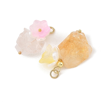 Raw Rough Natural Mixed Gemstone Pendants PALLOY-JF06069-1
