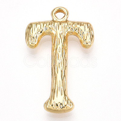 304 Stainless Steel Pendants STAS-N117-01G-T-1