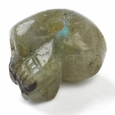 Natural Labradorite Beads G-B003-08-1