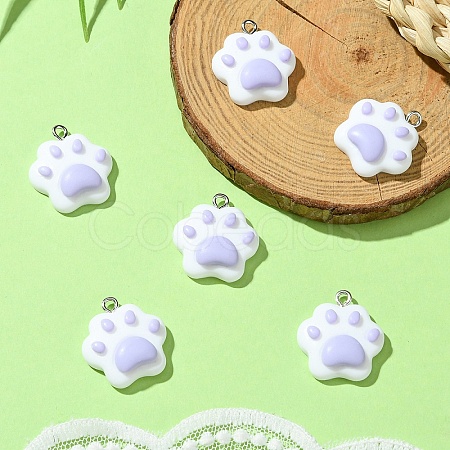 6Pcs Opaque Resin Pendants RESI-YW0003-45B-1