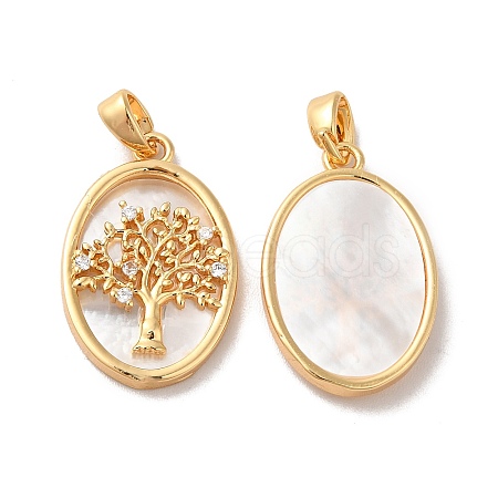 Brass Shell Pendants KK-M243-34G-1