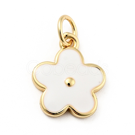 Rack Plating Brass Enamel Charms KK-G387-09G-01-1