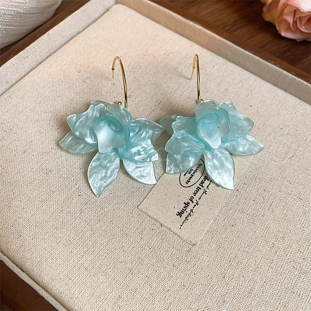 Iron Acrylic Dangle Stud Earrings FS-WG23F93-06-1
