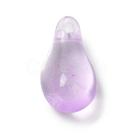 Glass Charms GLAA-A011-01D-1