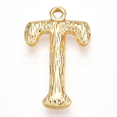 304 Stainless Steel Pendants STAS-N117-01G-T-1