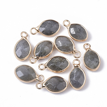 Natural Labradorite Pendants G-S359-014A-1