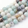 Natural Flower Amazonite Bead Strands G-G735-61-10mm-1