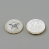 Natural Freshwater Shell Beads SHEL-Q011-008P-2