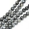 Natural Larvikite Beads Strands G-R345-6mm-33-1