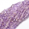 Natural Ametrine Chip Beads Strands G-E271-60-1