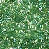 Two Cut Glass Seed Beads X-CSDB167-2