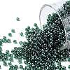 TOHO 11/0 Round Beads X-SEED-TR11-0118-1
