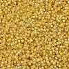 MIYUKI Delica Beads X-SEED-J020-DB2041-3
