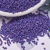 MIYUKI Delica Beads SEED-X0054-DB0880-1
