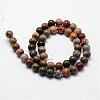 Natural Polychrome Jasper/Picasso Stone/Picasso Jasper Beads Strands G-O155-02A-4mm-2