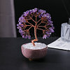 Natural Amethyst Sculpture Display Decorations PW-WGC5352-02-1