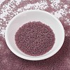 MIYUKI Delica Beads X-SEED-J020-DB0765-2