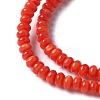 Natural Freshwater Shell Beads Strands SSHEL-C013-08A-3