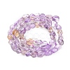 Natural Ametrine Beads Strands G-P497-01C-48-3