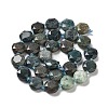 Natural Chrysocolla Beads Strands G-NH0004-034-3