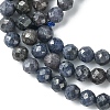 Natural Sapphire Beads Strands G-F748-M01-02-4