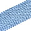 Polyester Ribbons OCOR-N011-01A-05-2