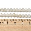 Natural Moonstone Beads Strands G-F736-01-AB-4