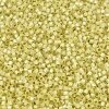 MIYUKI Delica Beads SEED-X0054-DB0623-3
