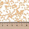 TOHO 8/0 Round Beads X-SEED-TR08-0391-4