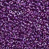 12/0 Glass Seed Beads SEED-A016-2mm-213-3