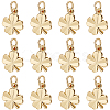 20Pcs Brass Charms KK-BBC0025-08-1