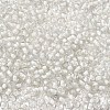 6/0 Transparent Glass Seed Beads SEED-F003-03A-07-3