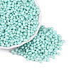 Opaque Glass Seed Beads GLAA-Q119-01-A04-1