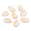 Natural Cowrie Shell Beads BSHE-Q296-1-1
