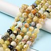 Natural Yellow Opal Beads Strands G-Q1001-A02-02-4