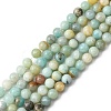 Natural Flower Amazonite Beads Strands Z26N5017-2