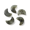 Natural Labradorite Beads G-NH0001-01D-1