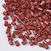 8/0 Two Cut Glass Seed Beads SEED-S033-01A-03-2