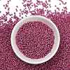 12/0 Glass Seed Beads E06900F2-2