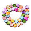 Natural Freshwater Shell Beads Strands SHEL-S278-024B-2