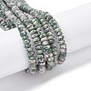Natural Green Spot Jasper Beads Strands G-H292-A18-02-1