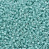 MIYUKI Delica Beads X-SEED-J020-DB1567-3