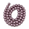 Eco-Friendly Dyed  Glass Pearl Round Beads Strands HY-A002-8mm-RB062-5