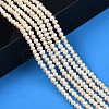 Natural Cultured Freshwater Pearl Beads Strands PEAR-N013-03B-6