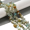 Natural Flower Amazonite Chips Beads Strands X-G-M205-12-01-6