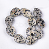 Natural Dalmatian Jasper Beads Strands G-S354-05-2