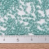 MIYUKI Delica Beads SEED-JP0008-DB1567-4