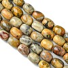 Barrel Shaped Gemstone Natural Crazy Lace Agate Beads Strands G-S114-08-3