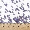 TOHO Round Seed Beads SEED-XTR08-0166DF-4