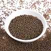 MIYUKI Round Rocailles Beads SEED-JP0010-RR3542-2